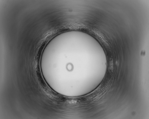X0000101210687200806270854