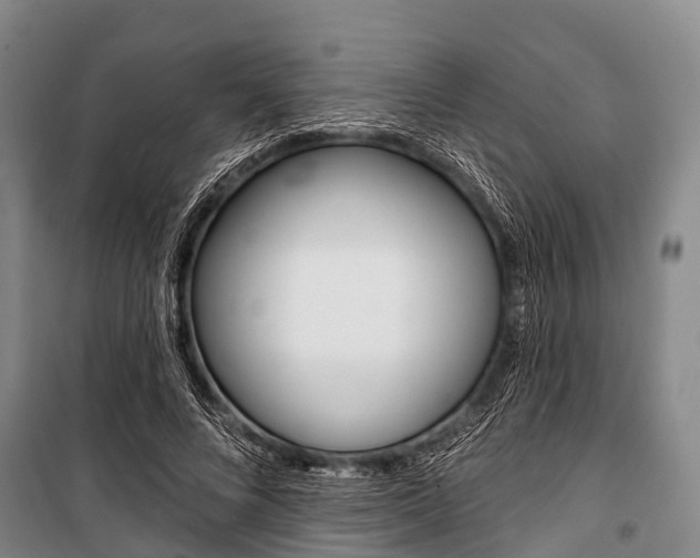 X0000101210688200806270854