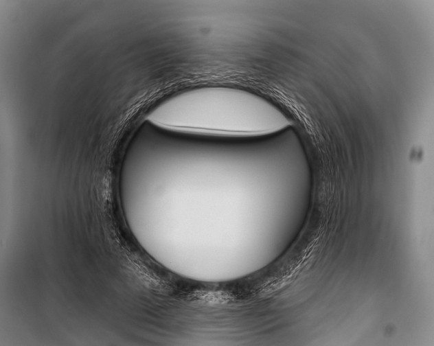 X0000101210689200806270854