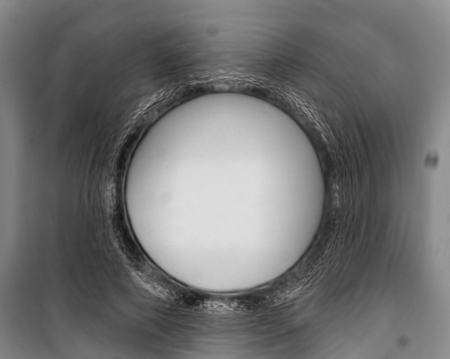 X0000101210690200806270854