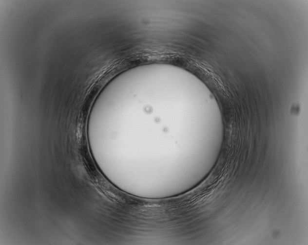 X0000101210691200806270854