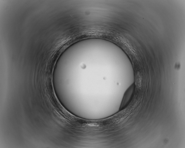 X0000101210692200806270854
