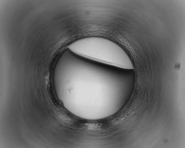 X0000101210693200806270854