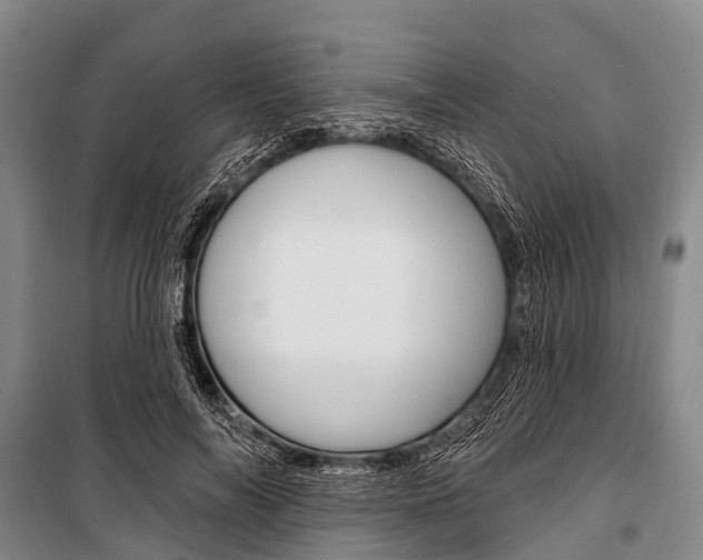 X0000101210694200806270854
