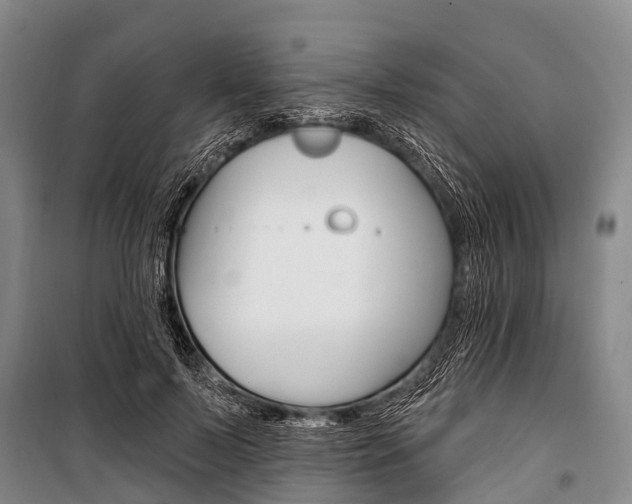 X0000101210695200806270854