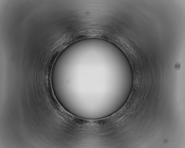 X0000101210696200806270854
