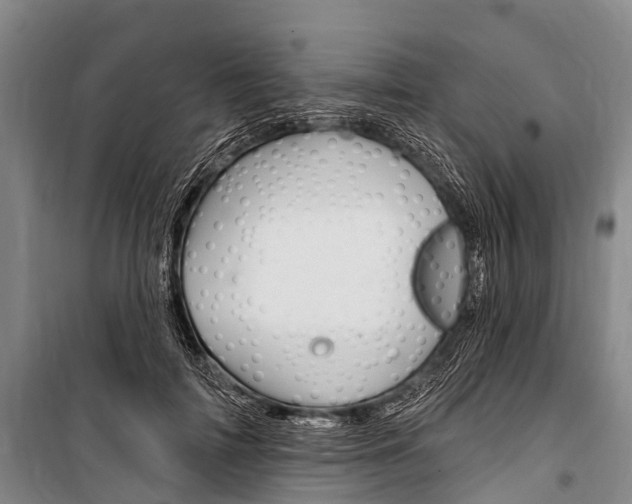 X0000101210698200806270854