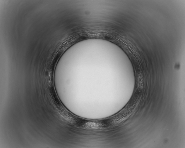 X0000101210699200806270854