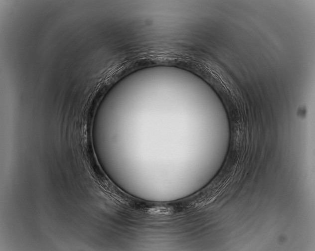 X0000101210700200806270854