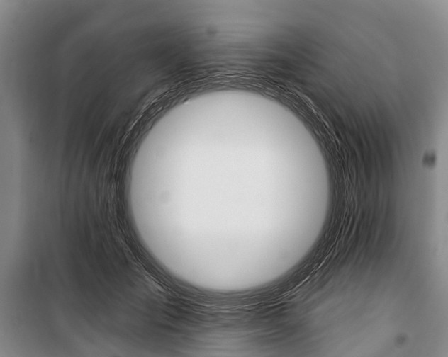 X0000101210701200806270854