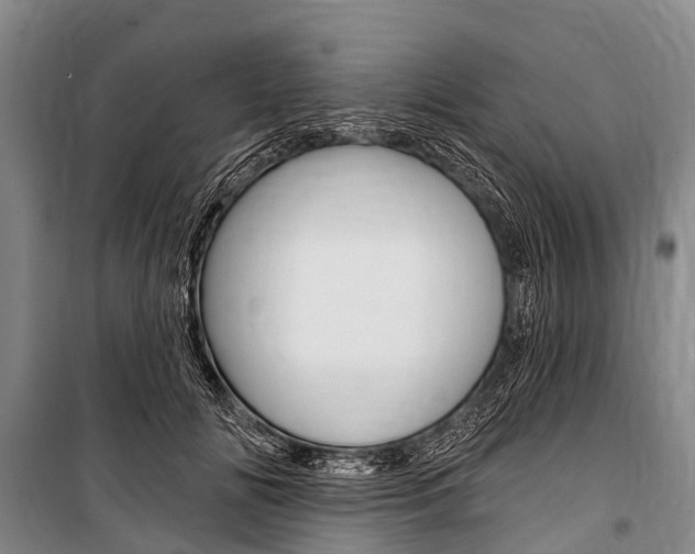 X0000101210702200806270854