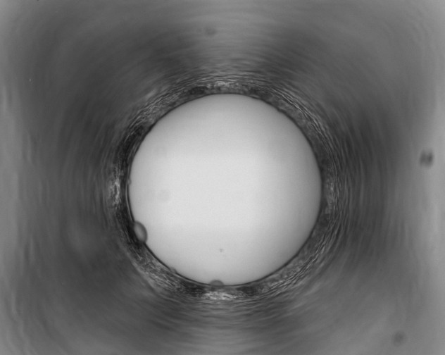 X0000101210703200806270854
