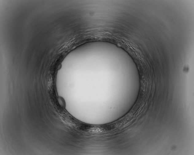 X0000101210704200806270854