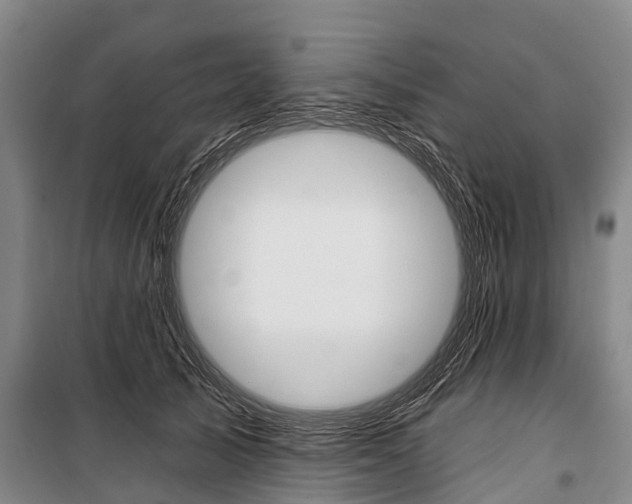 X0000101210705200806270854