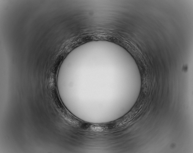 X0000101210706200806270854