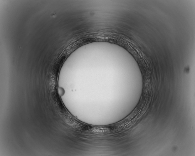 X0000101210707200806270854
