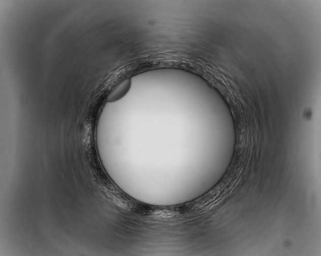 X0000101210708200806270854