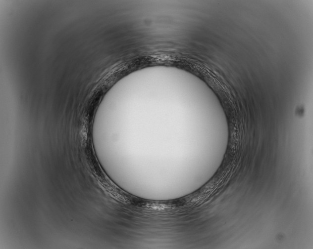 X0000101210710200806270854