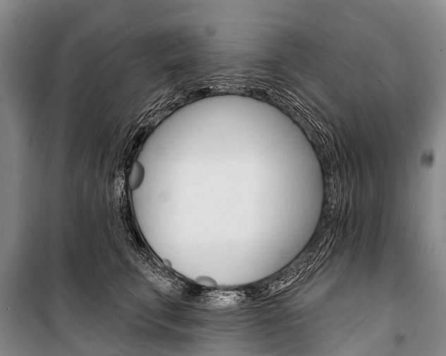 X0000101210711200806270854