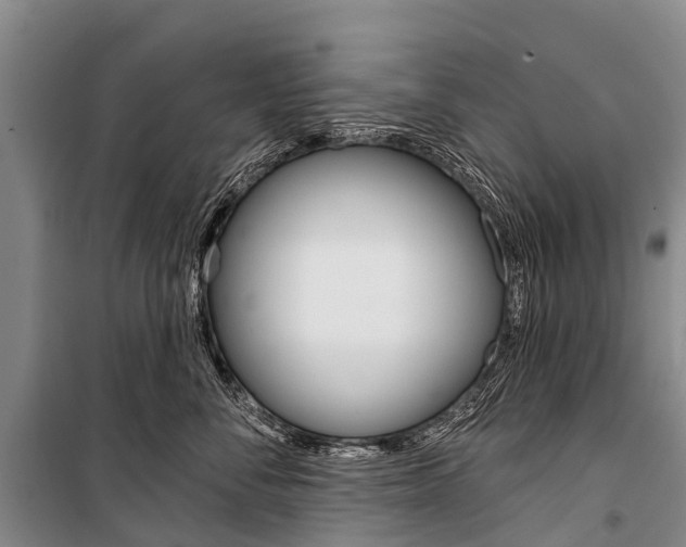 X0000101210716200806270854
