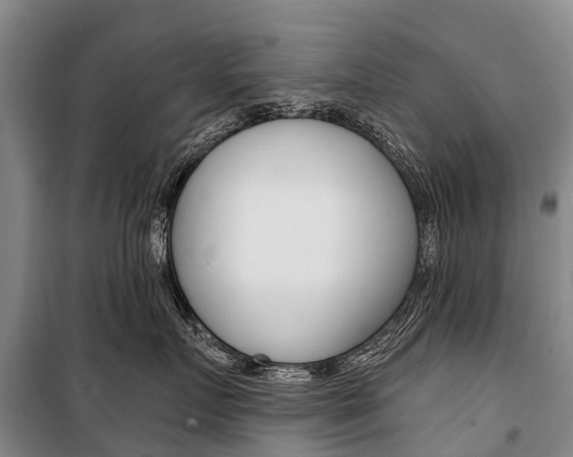 X0000101210719200806270854