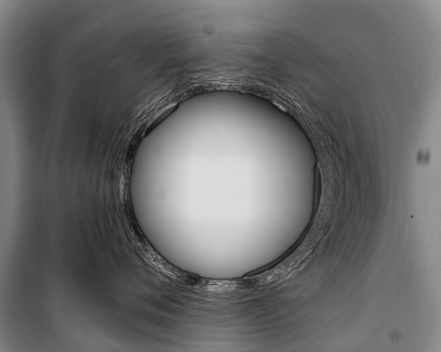 X0000101210720200806270854