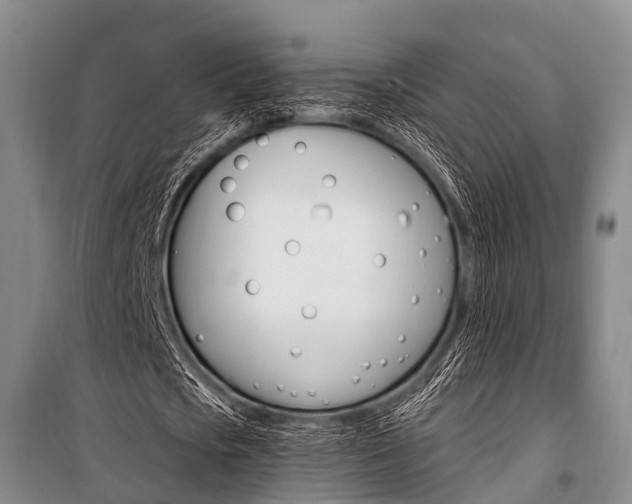 X0000101210721200806270853