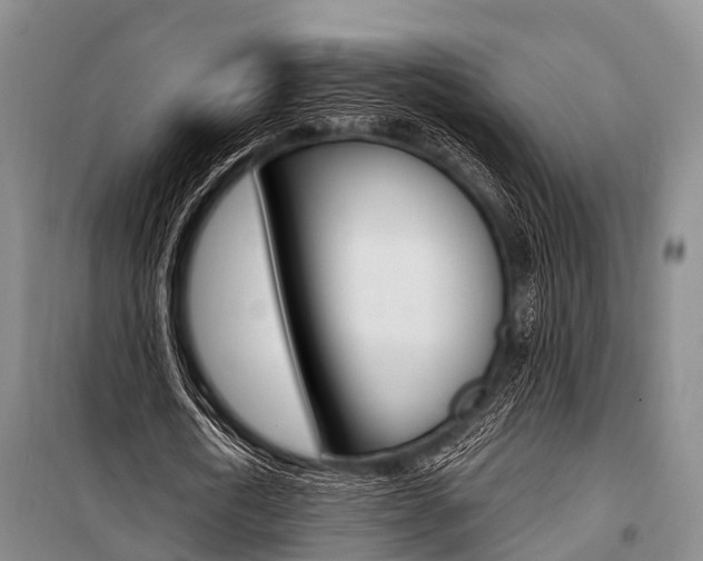 X0000101210722200806270853