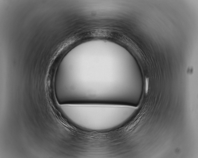 X0000101210723200806270853