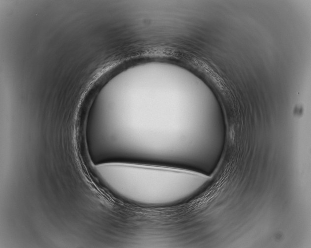 X0000101210724200806270853