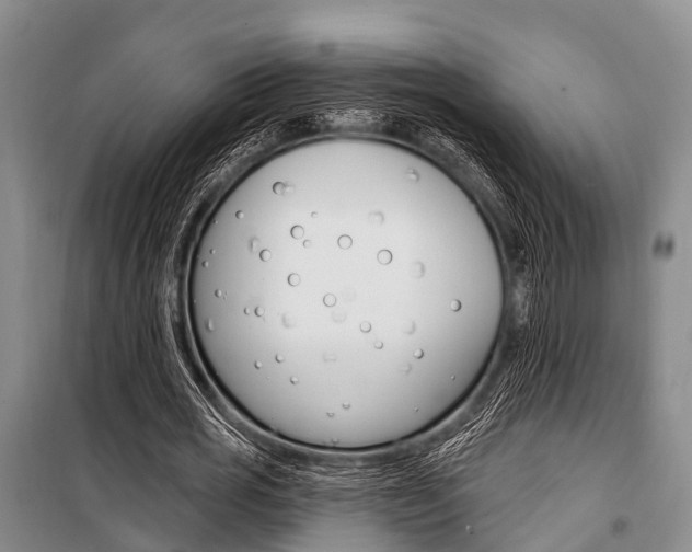 X0000101210725200806270853