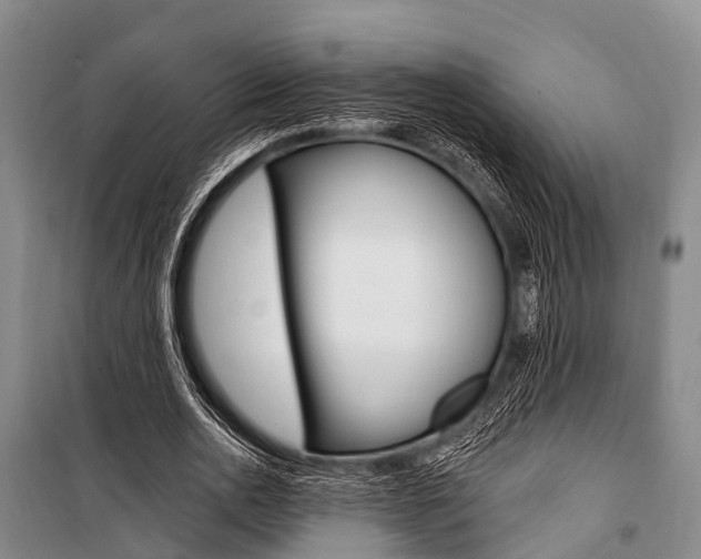 X0000101210726200806270853