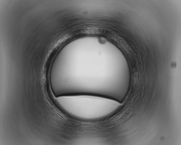 X0000101210727200806270853