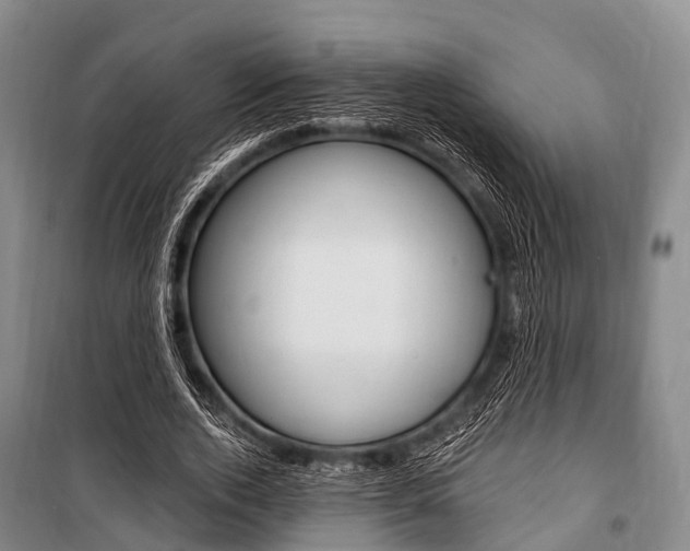 X0000101210728200806270853