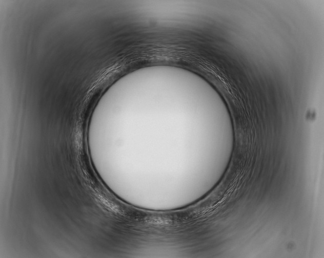 X0000101210729200806270853