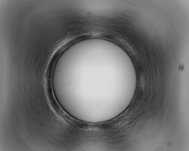 X0000101210730200806270853
