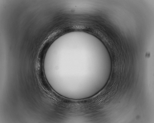 X0000101210731200806270853