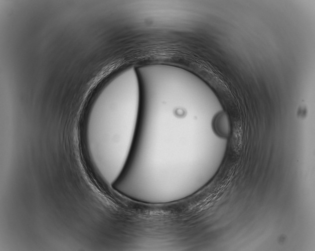 X0000101210734200806270853