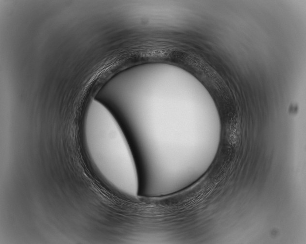 X0000101210735200806270854