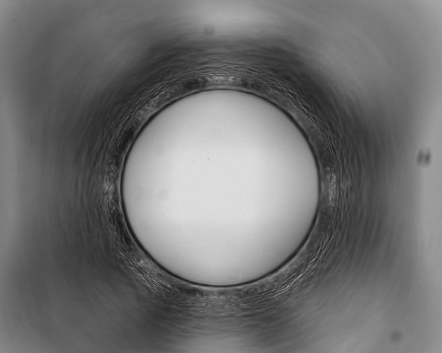 X0000101210737200806270854