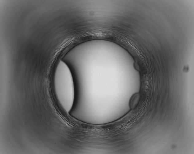 X0000101210738200806270854