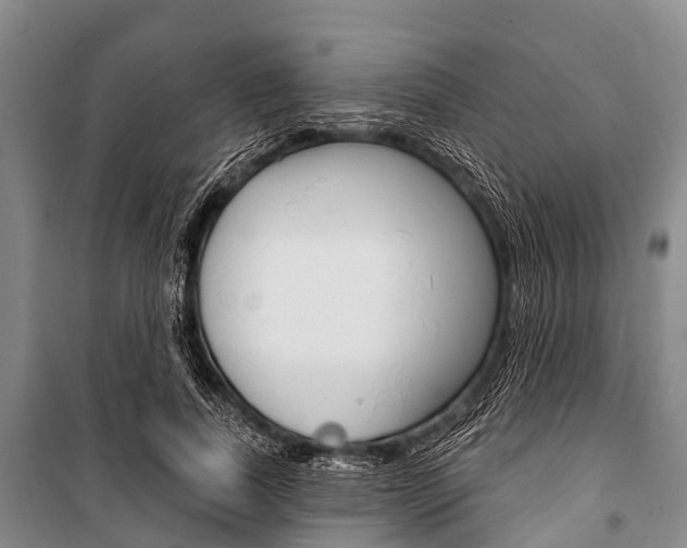 X0000101210739200806270854