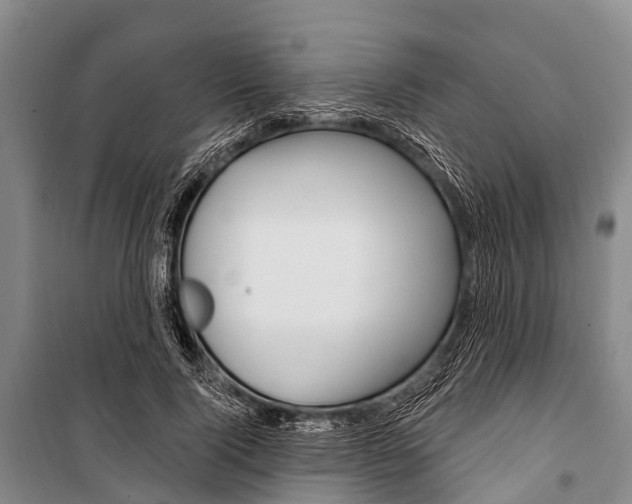 X0000101210740200806270854