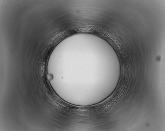 X0000101210741200806270854