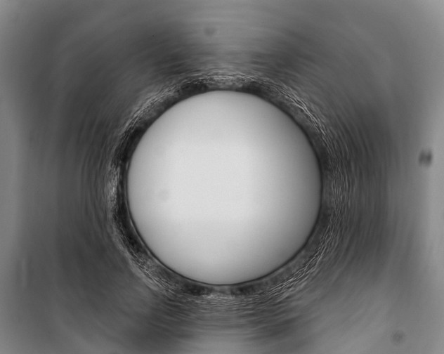 X0000101210742200806270854