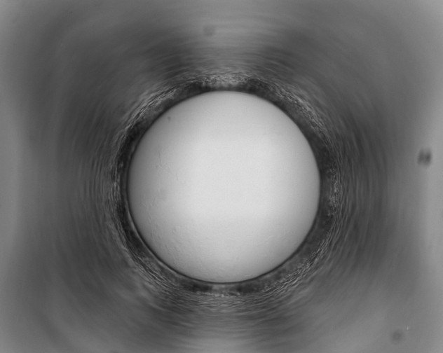 X0000101210743200806270854