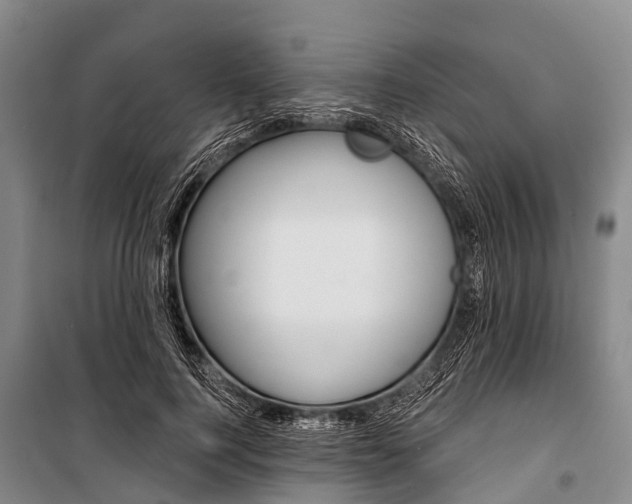 X0000101210744200806270854