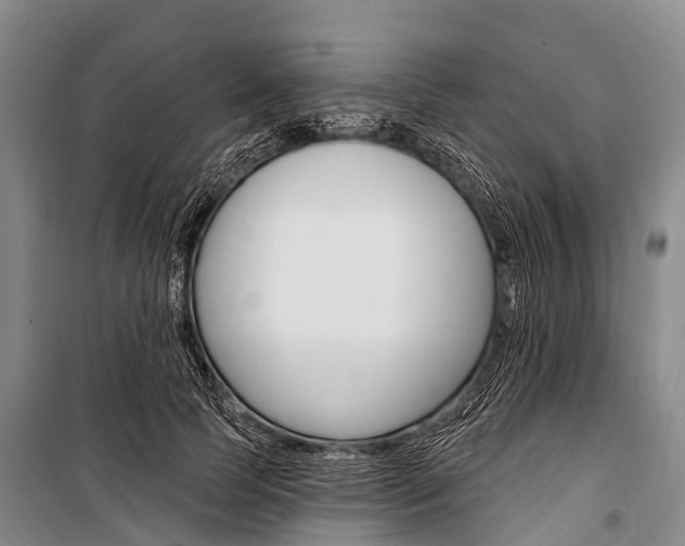 X0000101210745200806270854