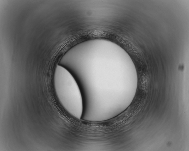 X0000101210746200806270854