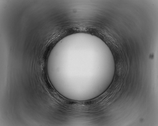X0000101210747200806270854